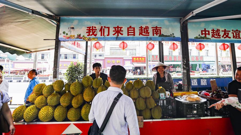 聯盟未來的 聯盟未來的