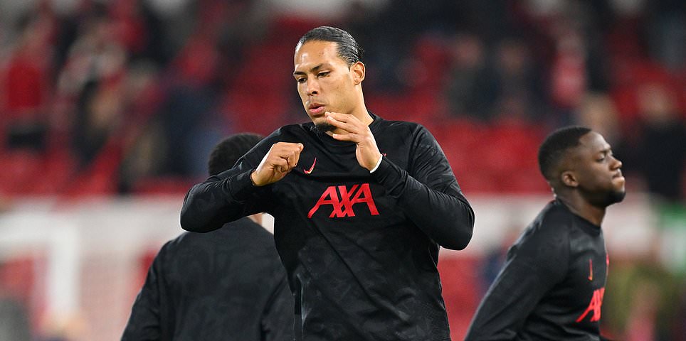 而非真正的 而非真正的