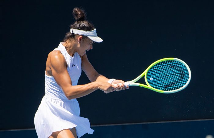 斯维亚特克 斯维亚特克