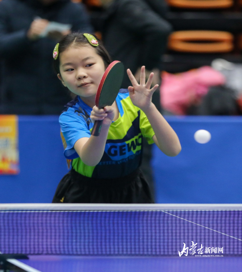 杂性与国际 杂性与国际