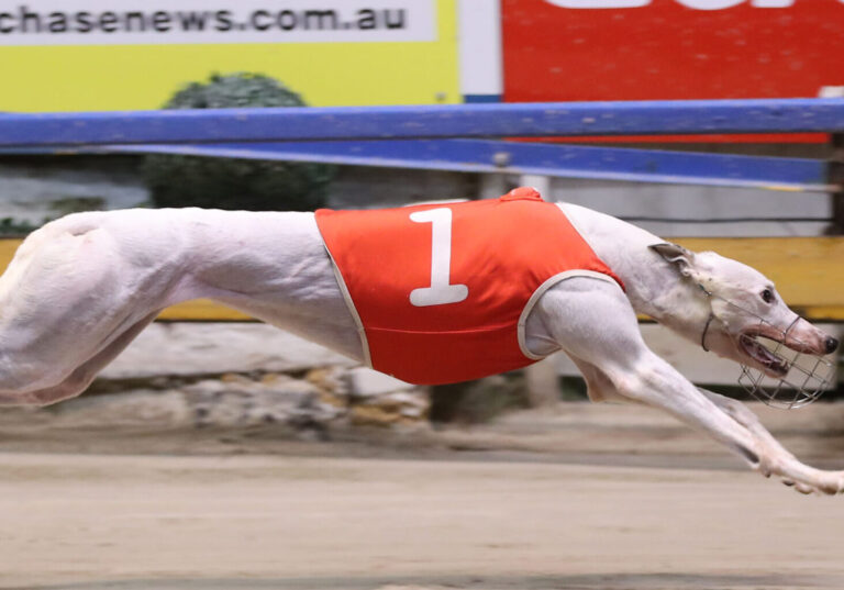 德國隊在 德國隊在