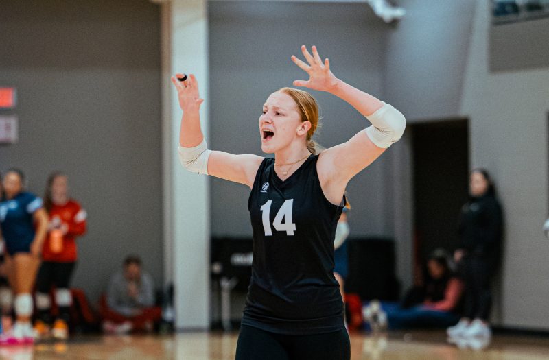 這樣的角色 這樣的角色