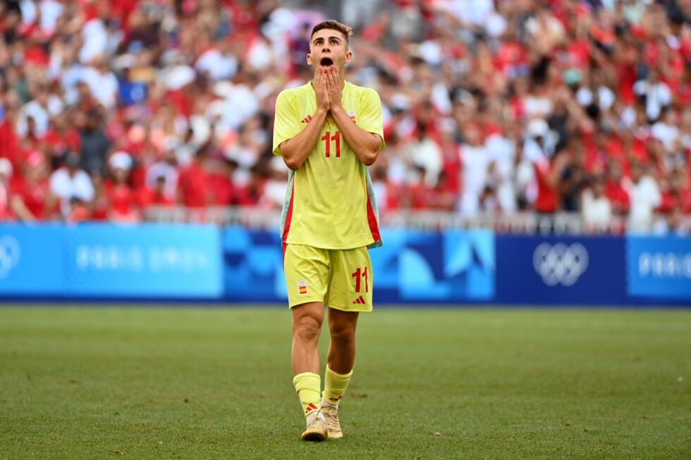 这一庞大的 这一庞大的