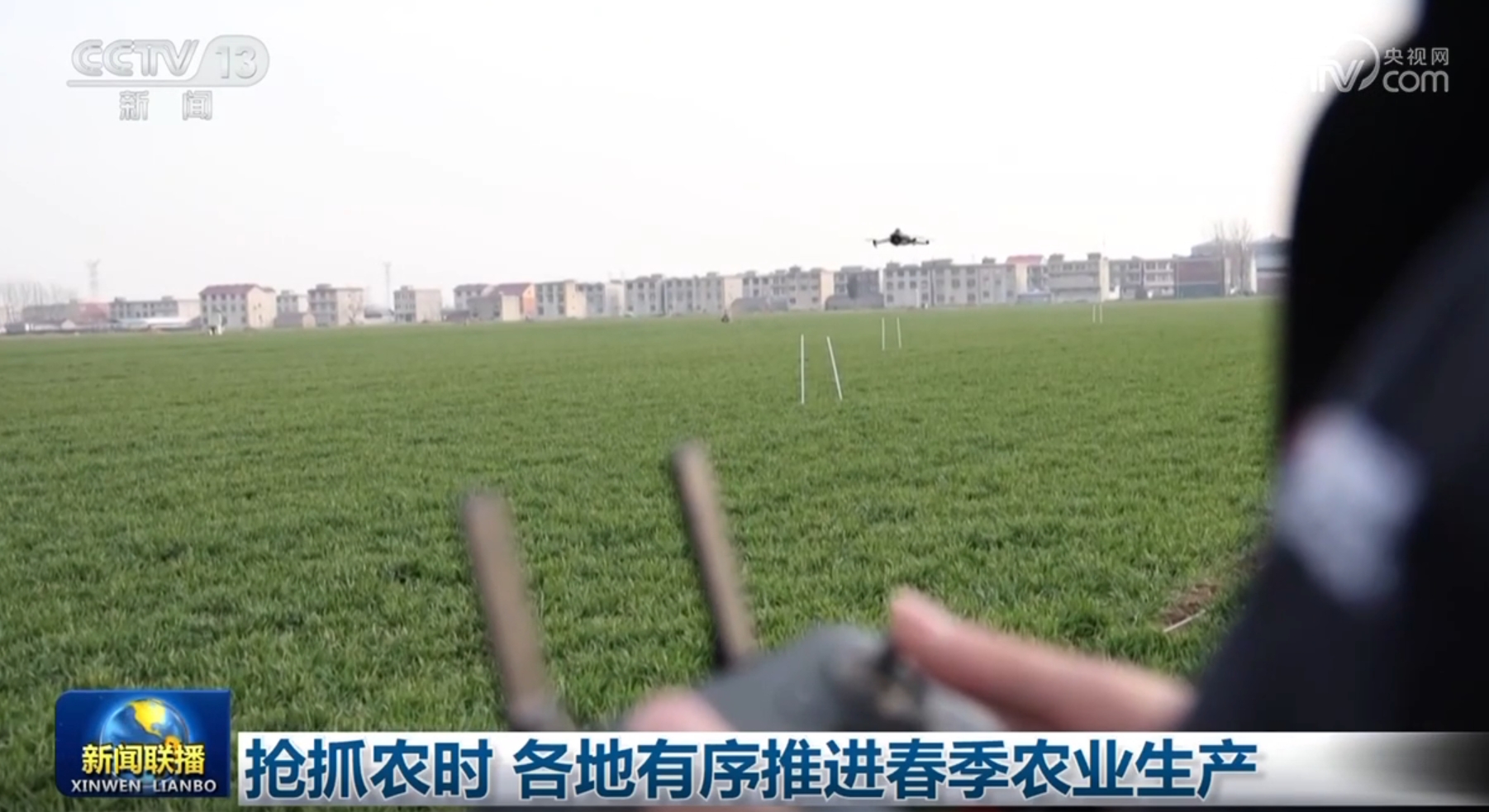 到底是什么 到底是什么