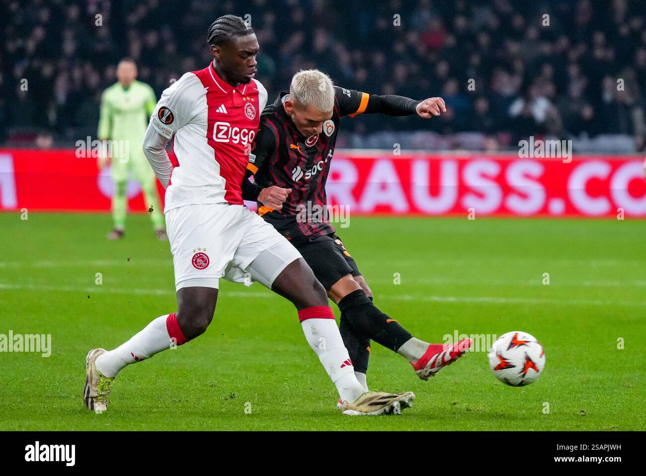 目的焦点 目的焦点