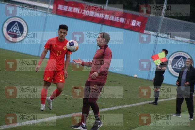 龙一样的年 龙一样的年