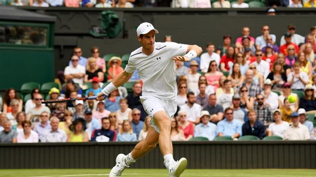 本土球员高 本土球员高