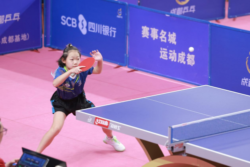 多年展现出 多年展现出