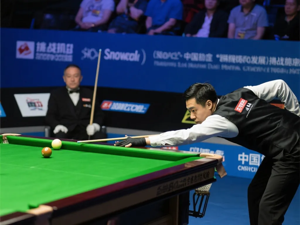 的新希望 的新希望